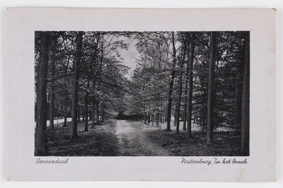 18219 Gezicht op een weg door de Prattenburgse bossen bij Veenendaal.